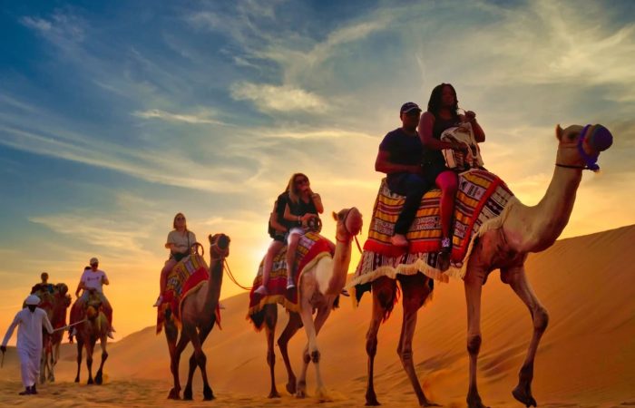 Camel Ride Wallpaper (1)